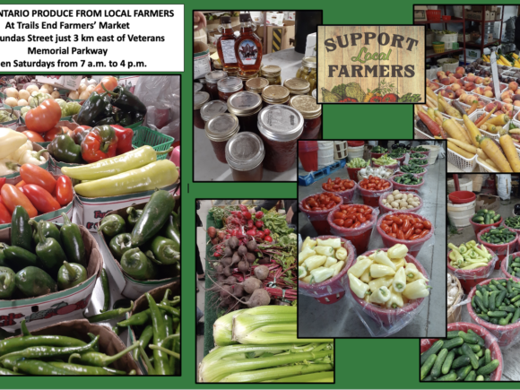 FRESH ONTARIO PRODUCE FROM LOCAL FARMERS AT TRAILS END FARMERS MARKET!