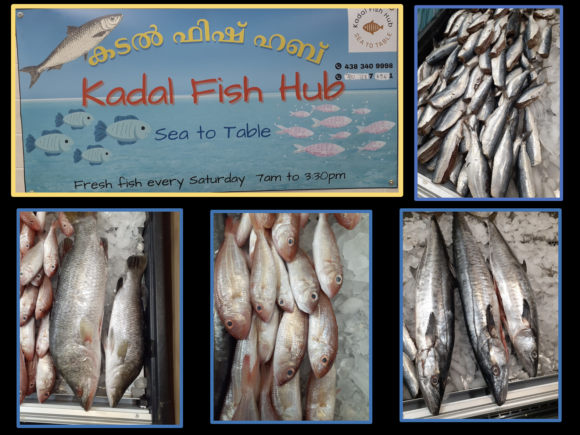 KADAL FISH HUB
