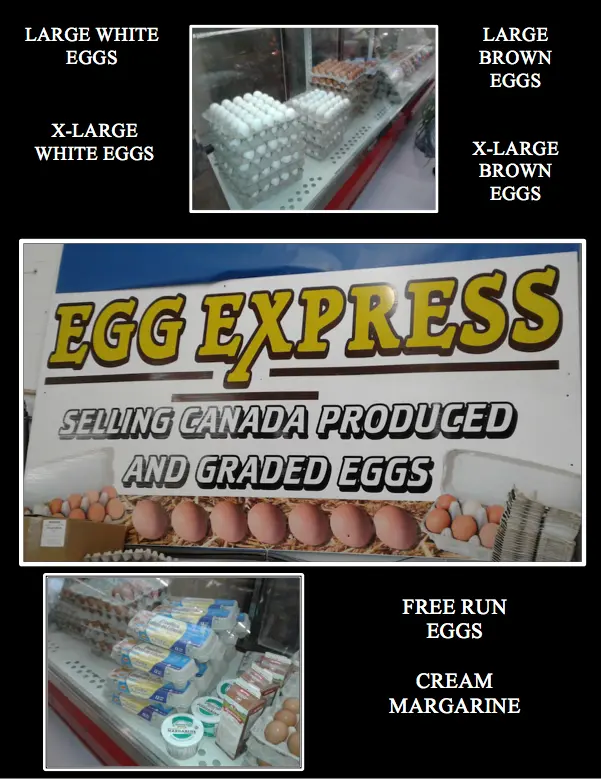 EGG-EXPRESS-COMP-PHOTO-WITHOUT-PRICES